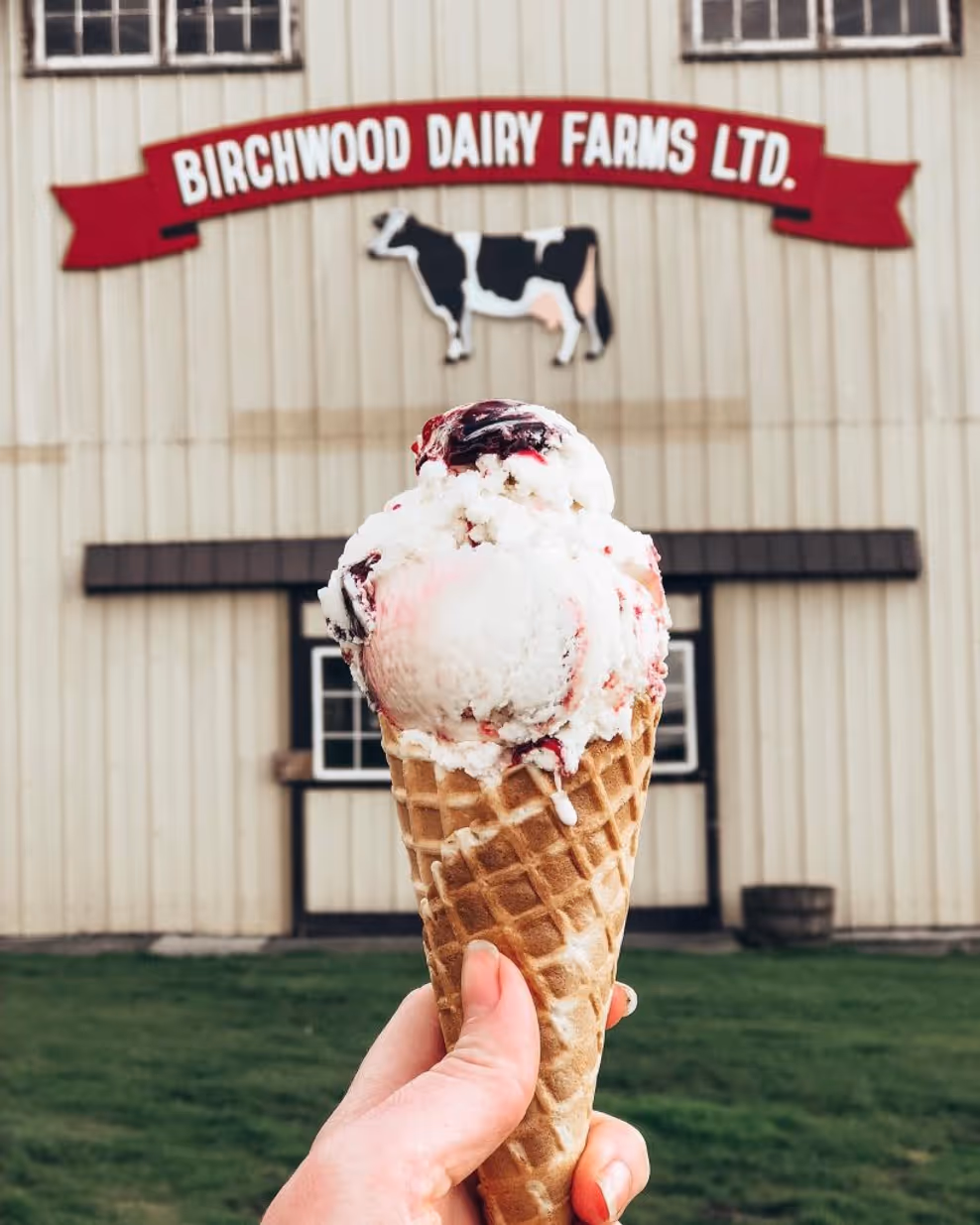 An ice cream cone held up in front of the red Birchwood Dairy Farms barn sign