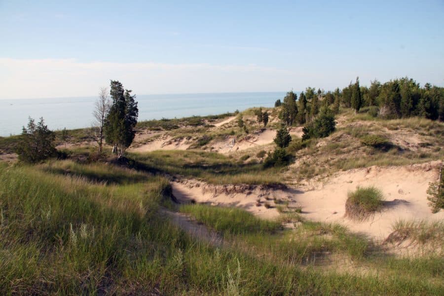 The dunes at Pinery, held together by juniper and grass