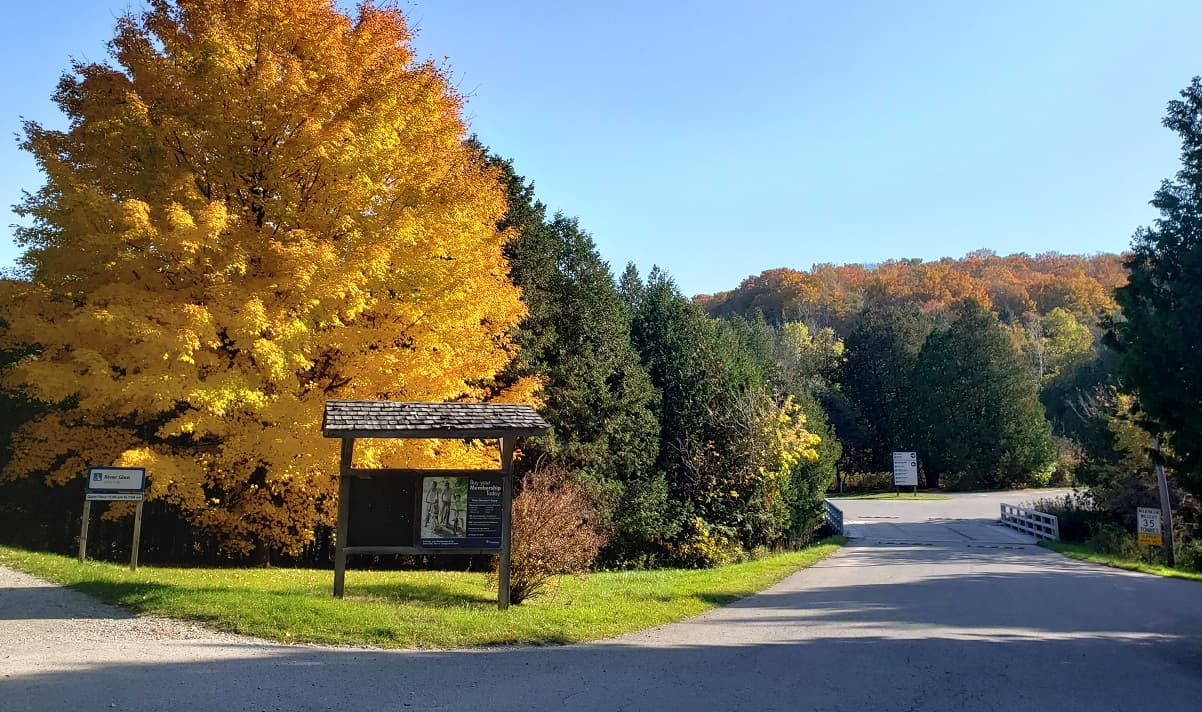 The park road into Albion Hills past a trail noticeboard, under a big yellow maple in autumn