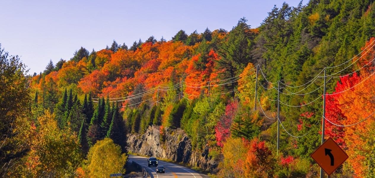 Highway 60 curving through a rock cut in Algonquin, with scarlet maples and dark conifers on the slope above and two cars on the road
