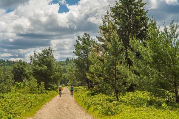 The old rail bed running straight into pine forest with two riders far ahead