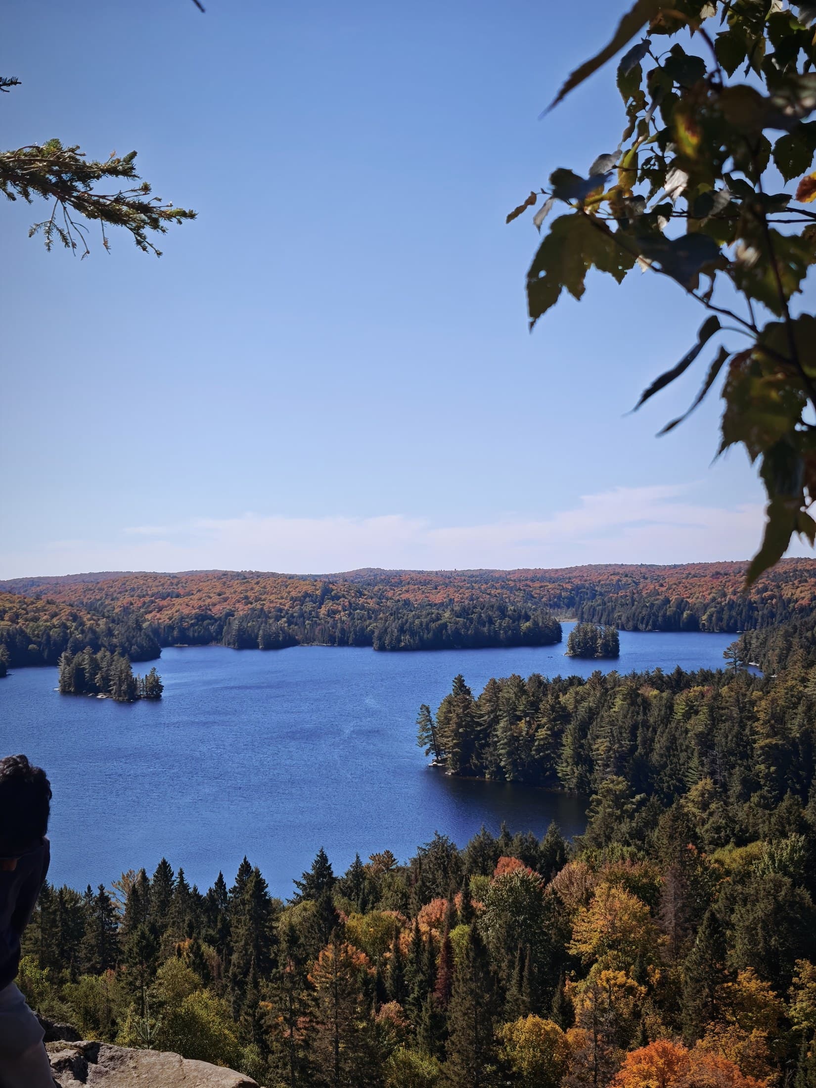 A blue Algonquin lake with small pine islands, seen from a high rock lookout, with orange hills along the far shore