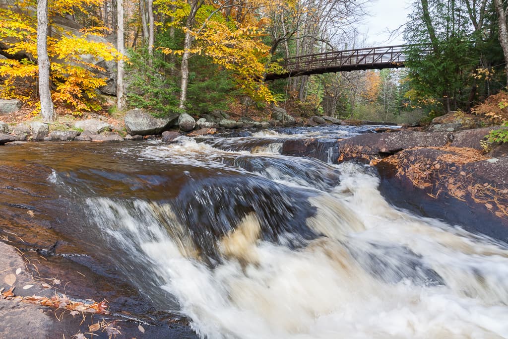 The forest and river at Arrowhead Provincial Park