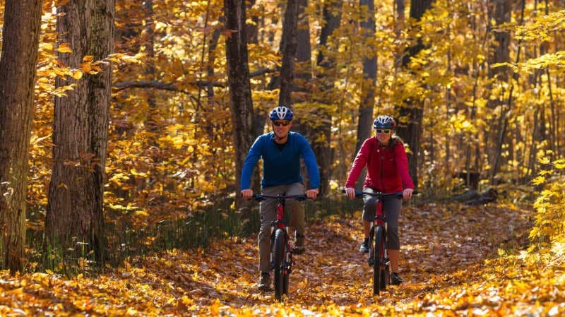 Two cyclists riding a leaf covered trail through a hardwood forest in autumn