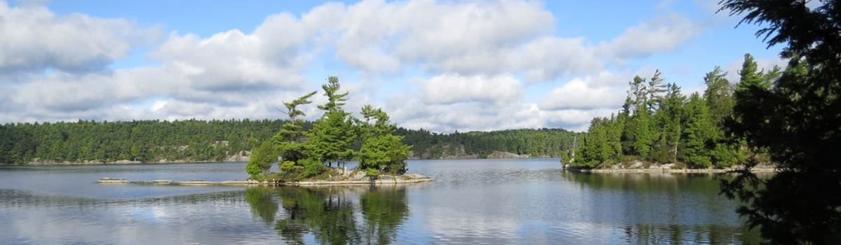 A small pine covered island sitting on the flat water of Charleston Lake