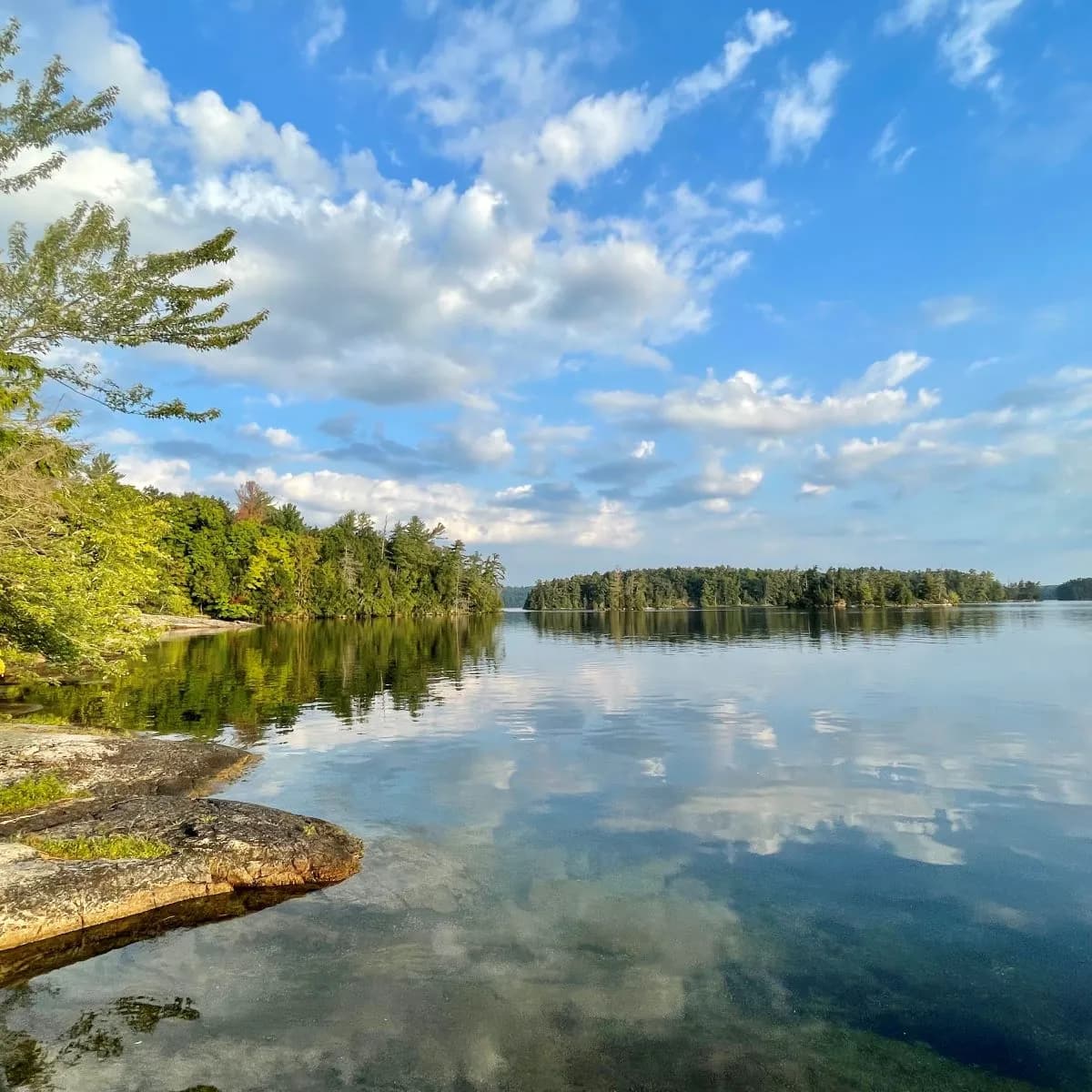 A wooded island reflected in still water under a sky of scattered cloud