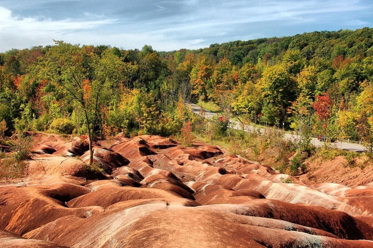 The banded red and grey shale of the Cheltenham Badlands with an autumn treeline behind