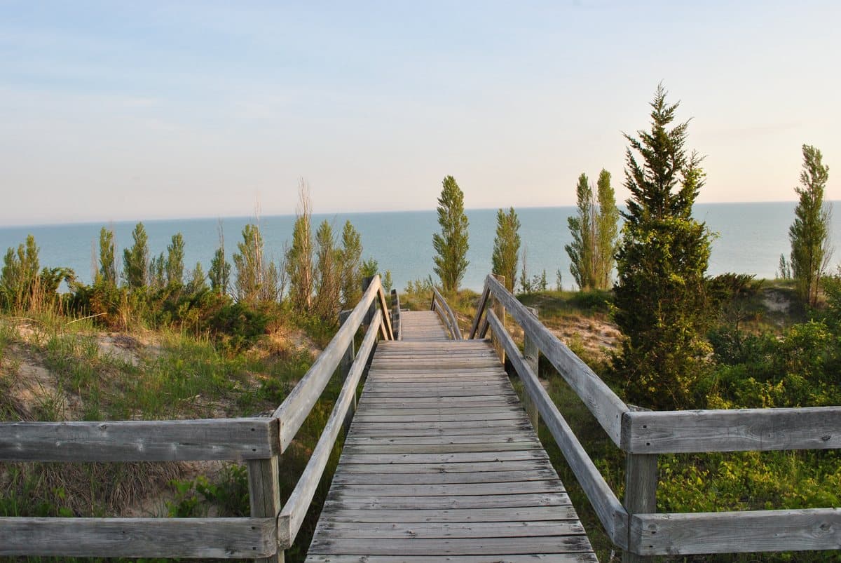 A wooden boardwalk running down through the pines to the water
