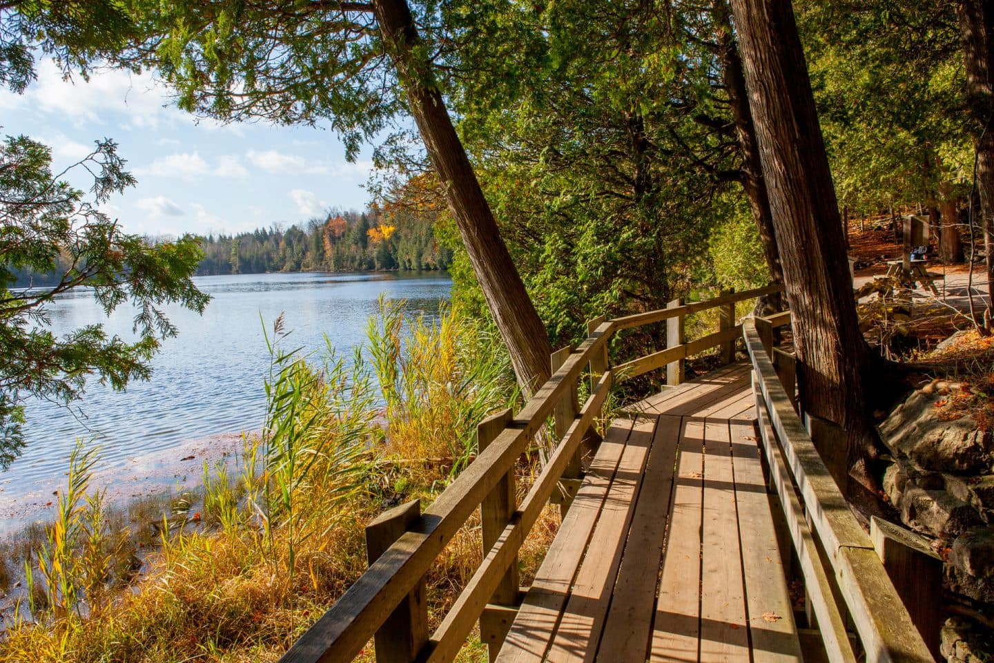 The boardwalk around Crawford Lake with autumn colour in the trees
