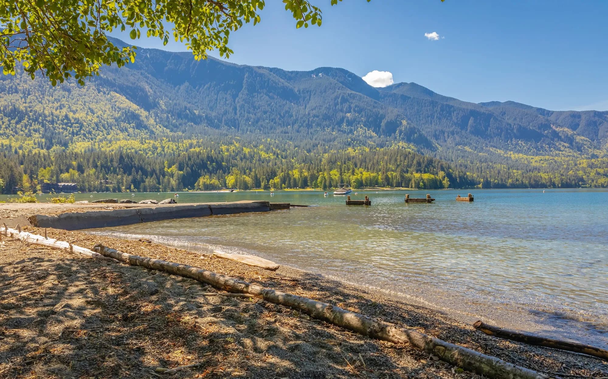 Driftwood on the shore of Cultus Lake with the Coast Mountains behind