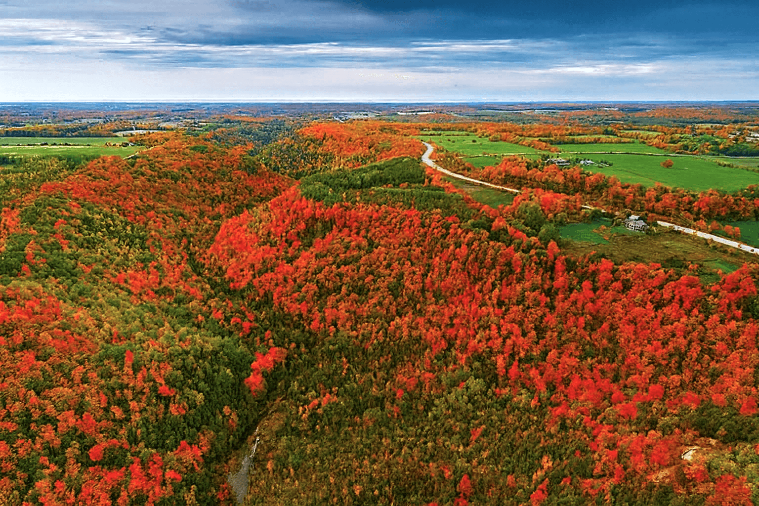 The wooded valley at Devil's Glen Provincial Park in autumn