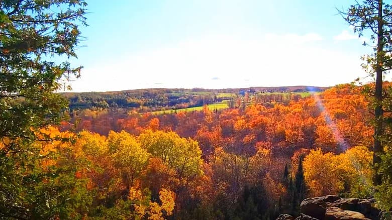 The view from the lookout at Devil's Glen, orange and gold treetops running down the escarpment to green farm fields on the valley floor