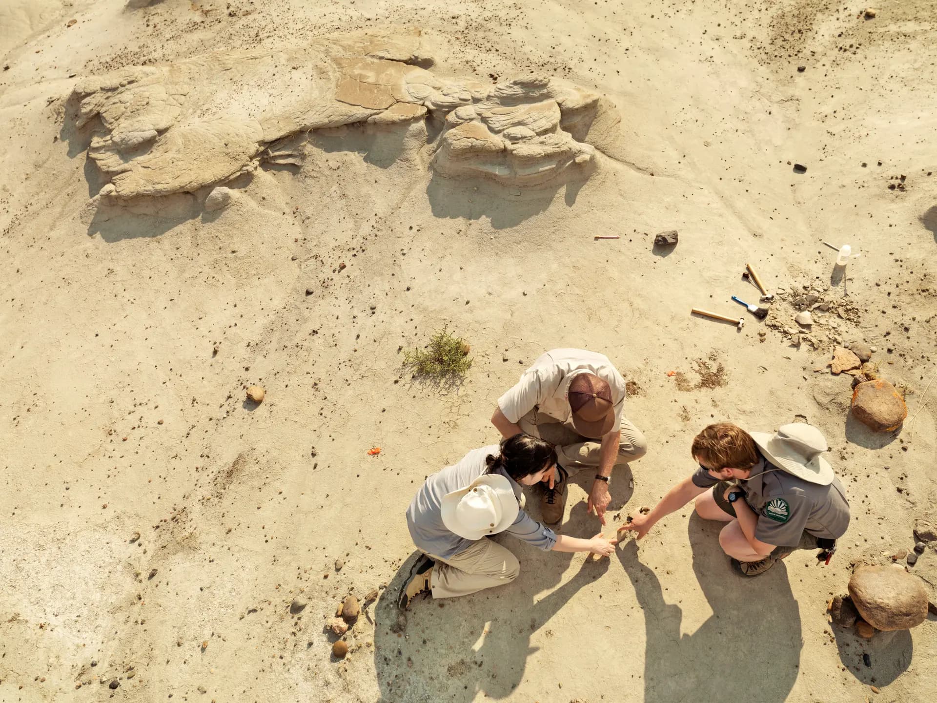 Three people crouched around a fossil emerging from the pale sand of the badlands