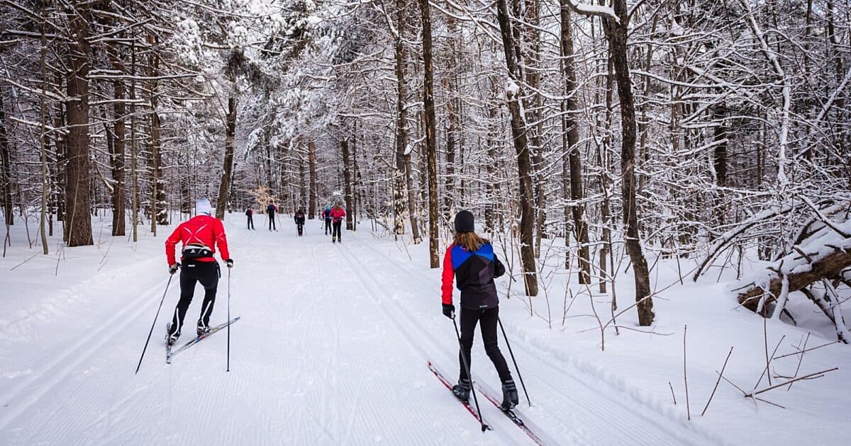 Cross-country skiers on a groomed trail through snow-covered forest in Gatineau Park