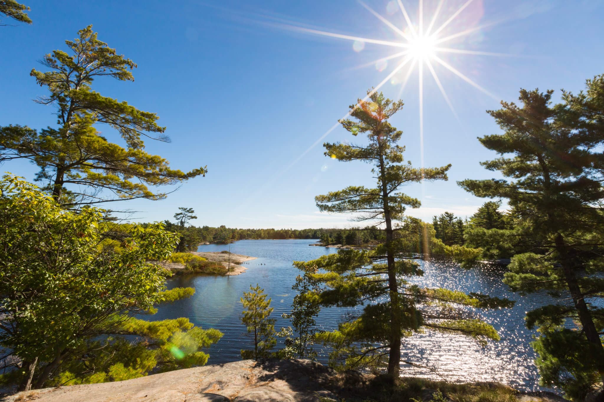 Sun over a sheltered channel in Georgian Bay, with white pines on granite in the foreground