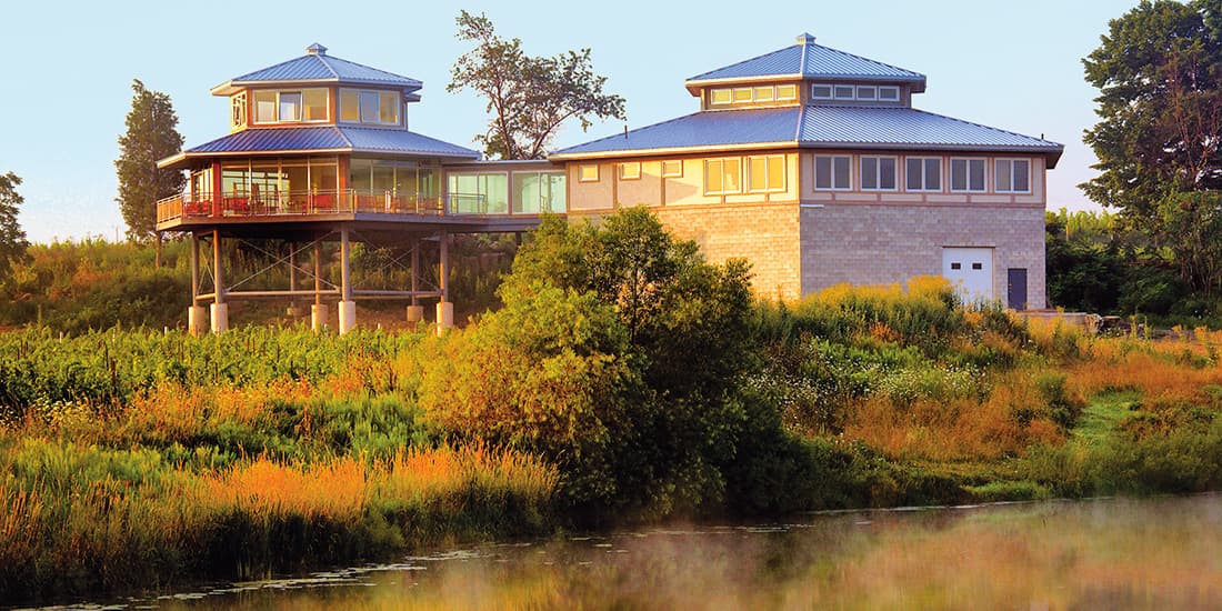 The Flat Rock Cellars winery building standing above the vines in autumn colour