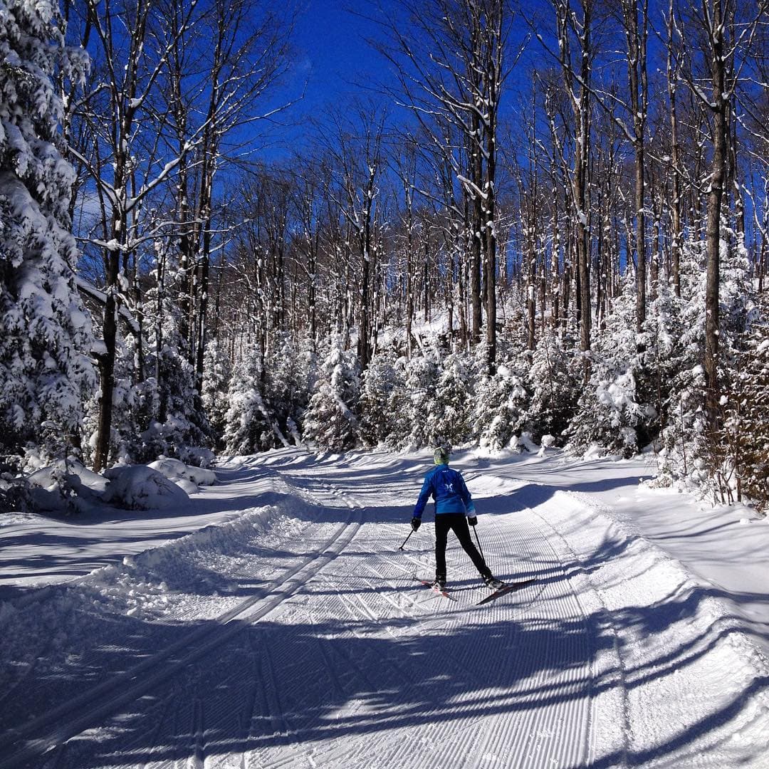 Groomed cross-country ski trails through the forest at Highlands Nordic