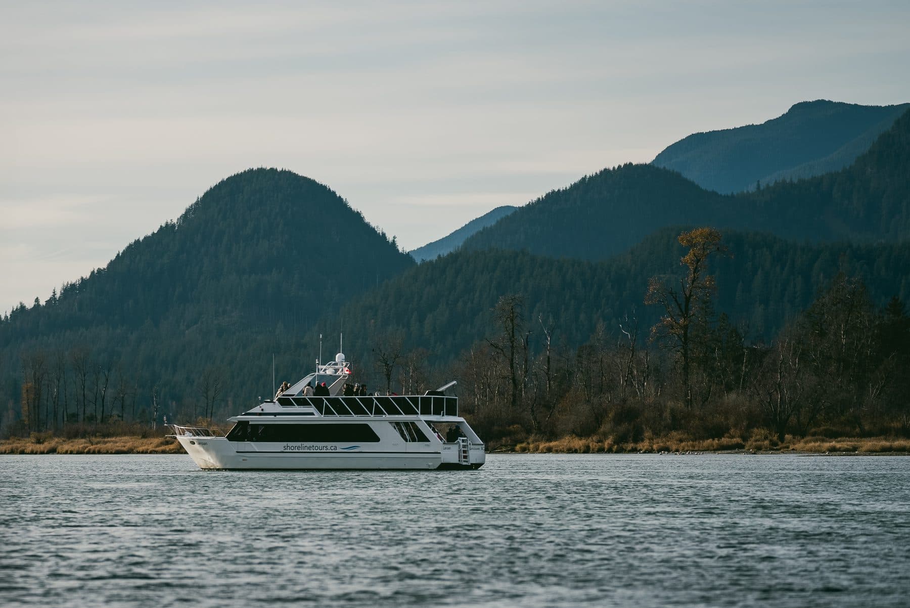 The Shoreline Tours boat on Harrison Lake with forested mountains behind it