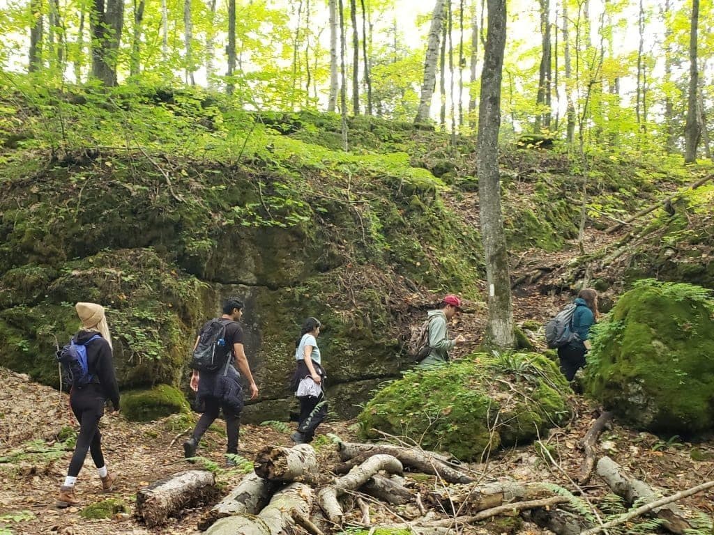 The Niagara Escarpment on the Bruce Peninsula