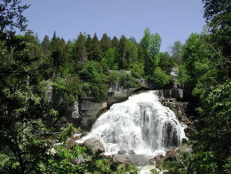 The full width of Inglis Falls seen from the valley below, framed by cedar and hardwood