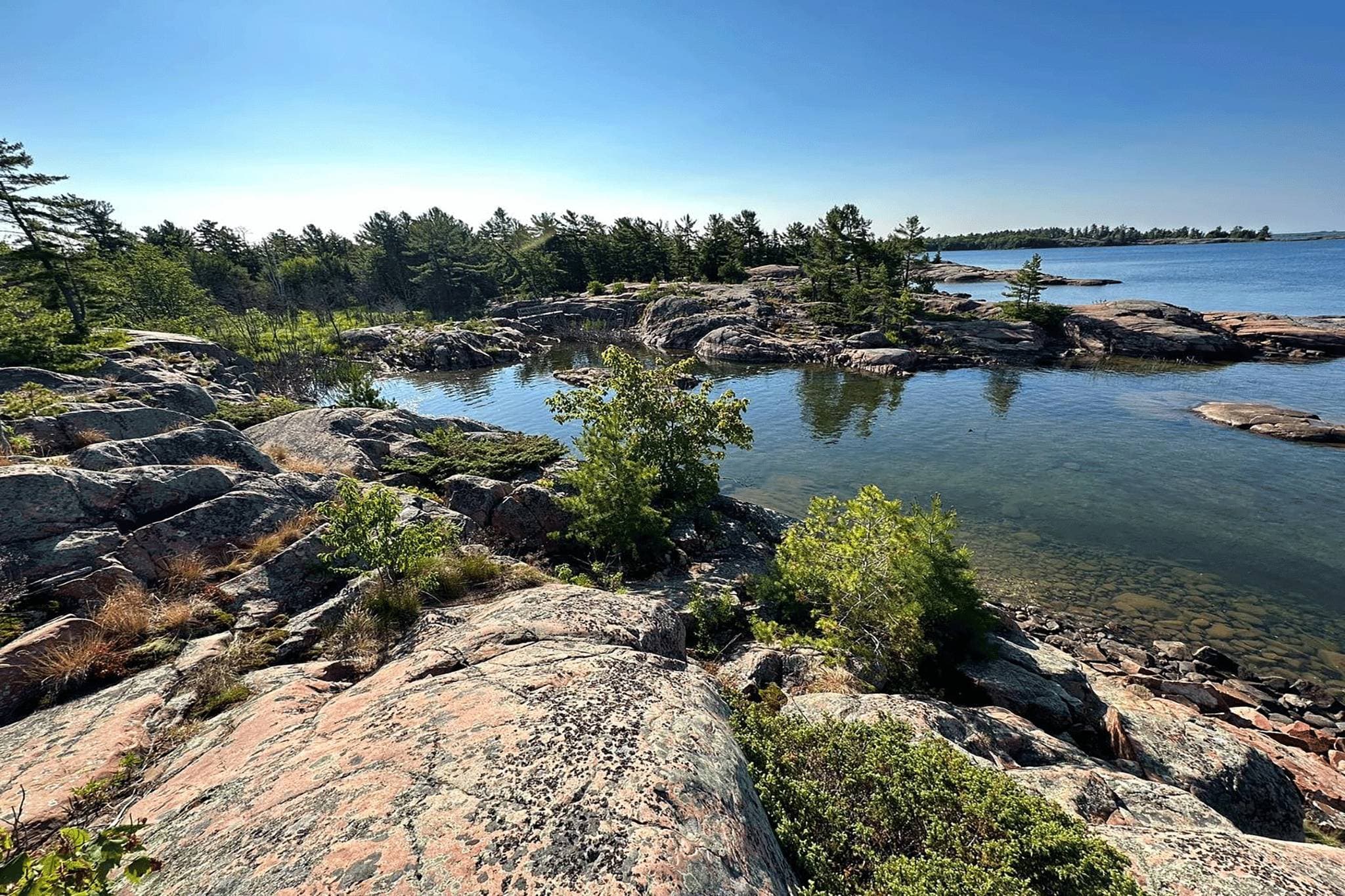 White quartzite and pines at the water's edge in Killarney Provincial Park