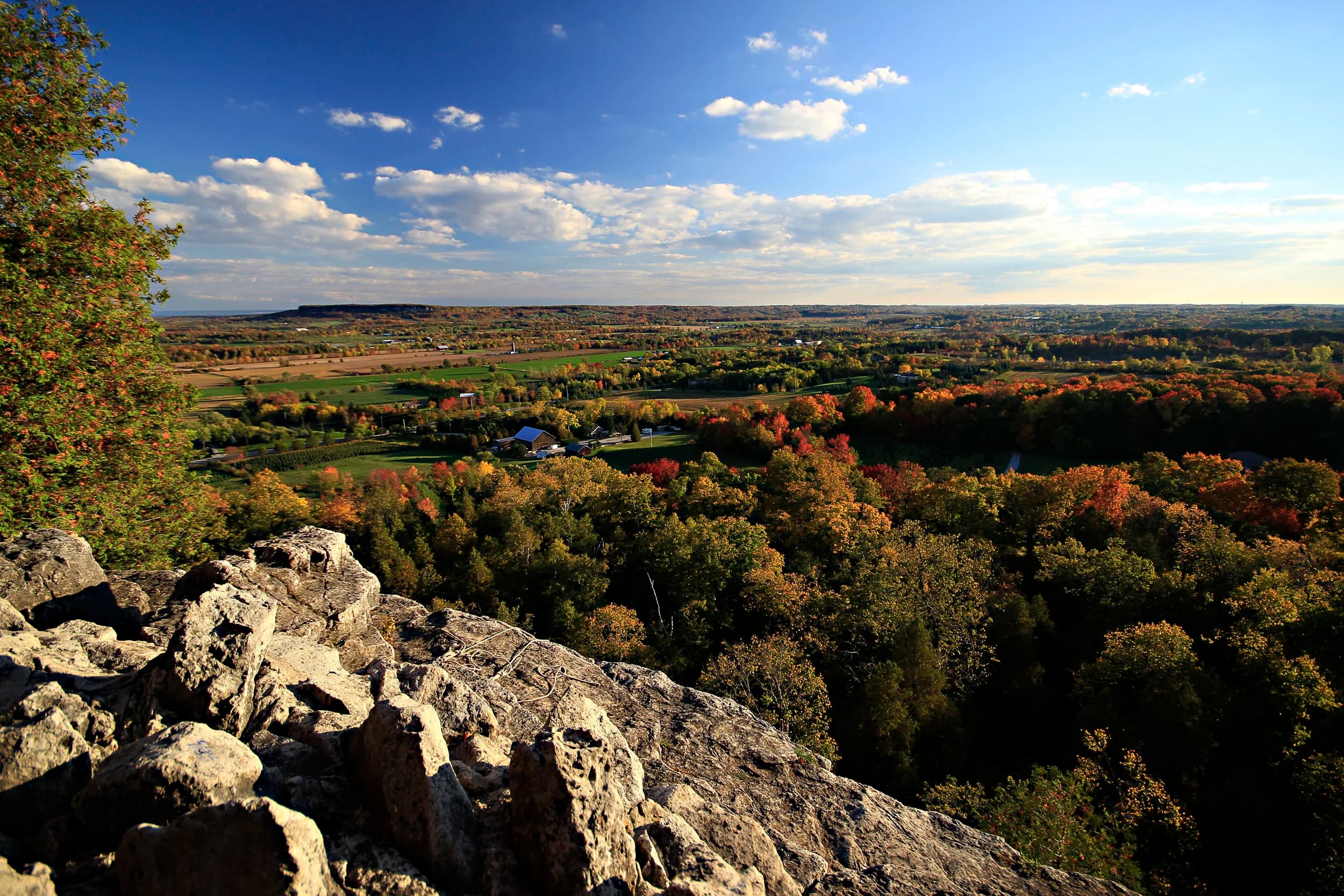 The Niagara Escarpment from the clifftop at Rattlesnake Point