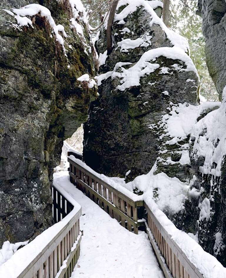The cliff face and forest at Mono Cliffs Provincial Park