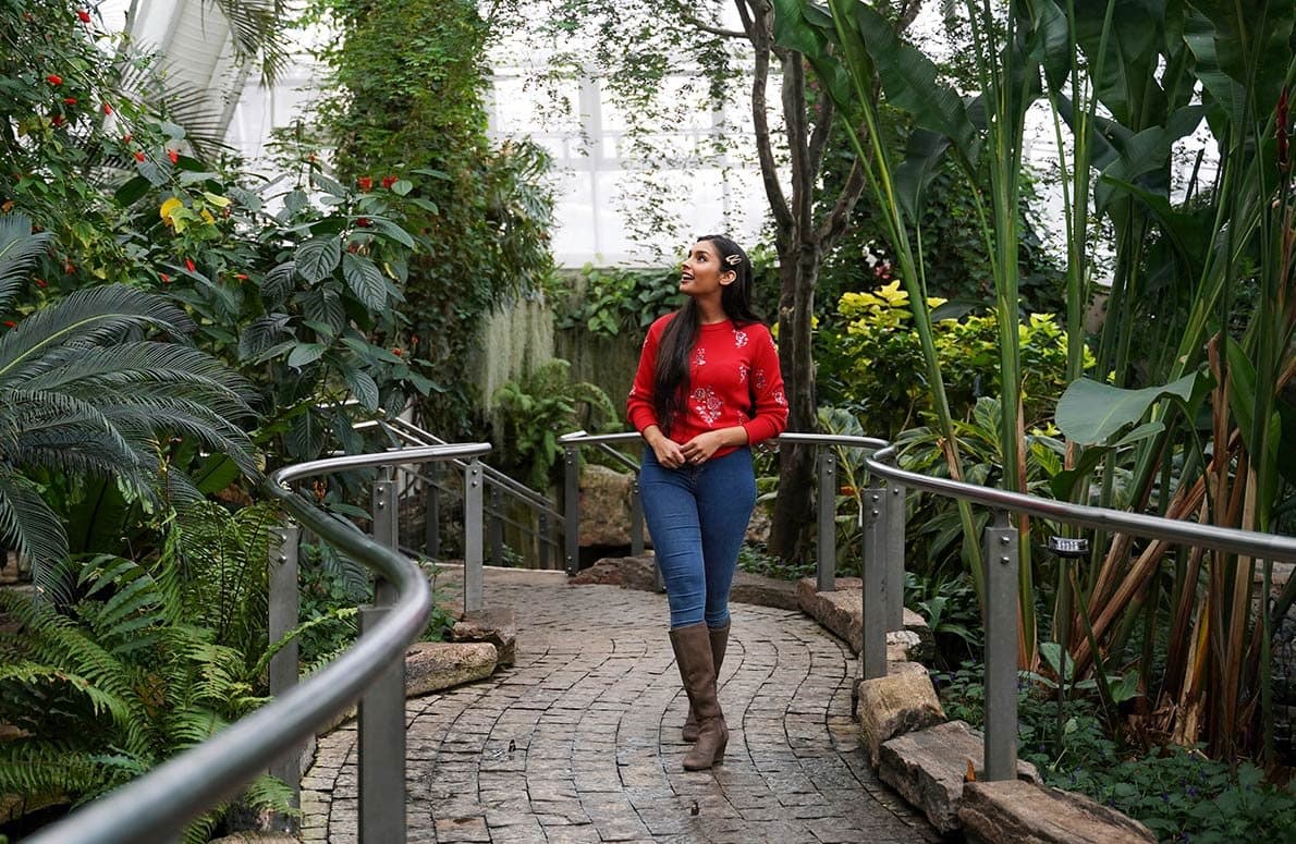 A visitor on the curved stone path through the Butterfly Conservatory, ferns and tropical plants either side