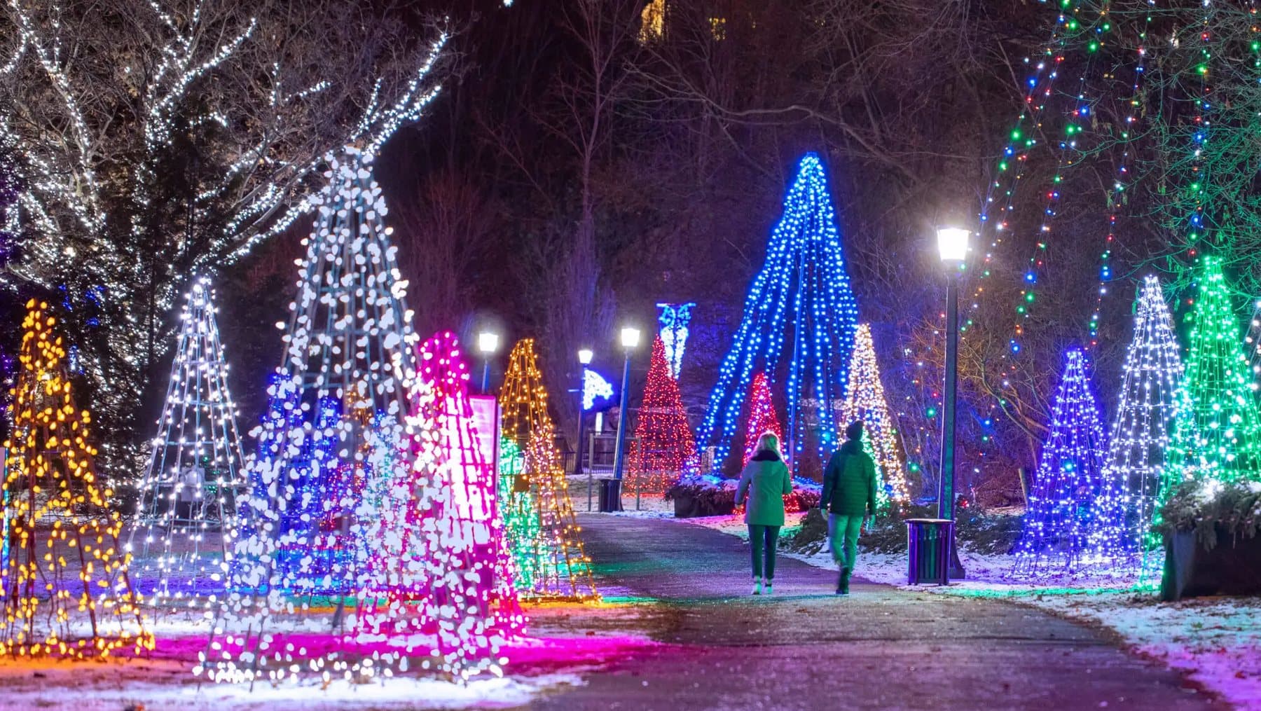A path through the Winter Festival of Lights, cone-shaped trees of white, pink, blue and gold lights on both sides and snow on the ground