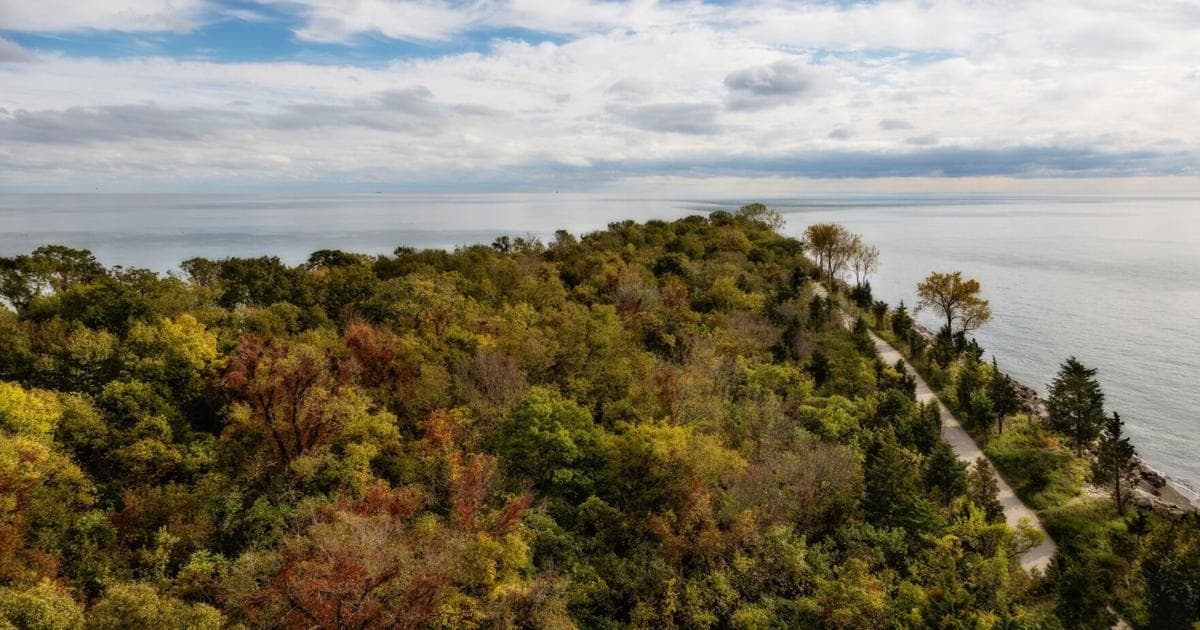 The wooded spit of Point Pelee narrowing into Lake Erie, the trees turning red and gold