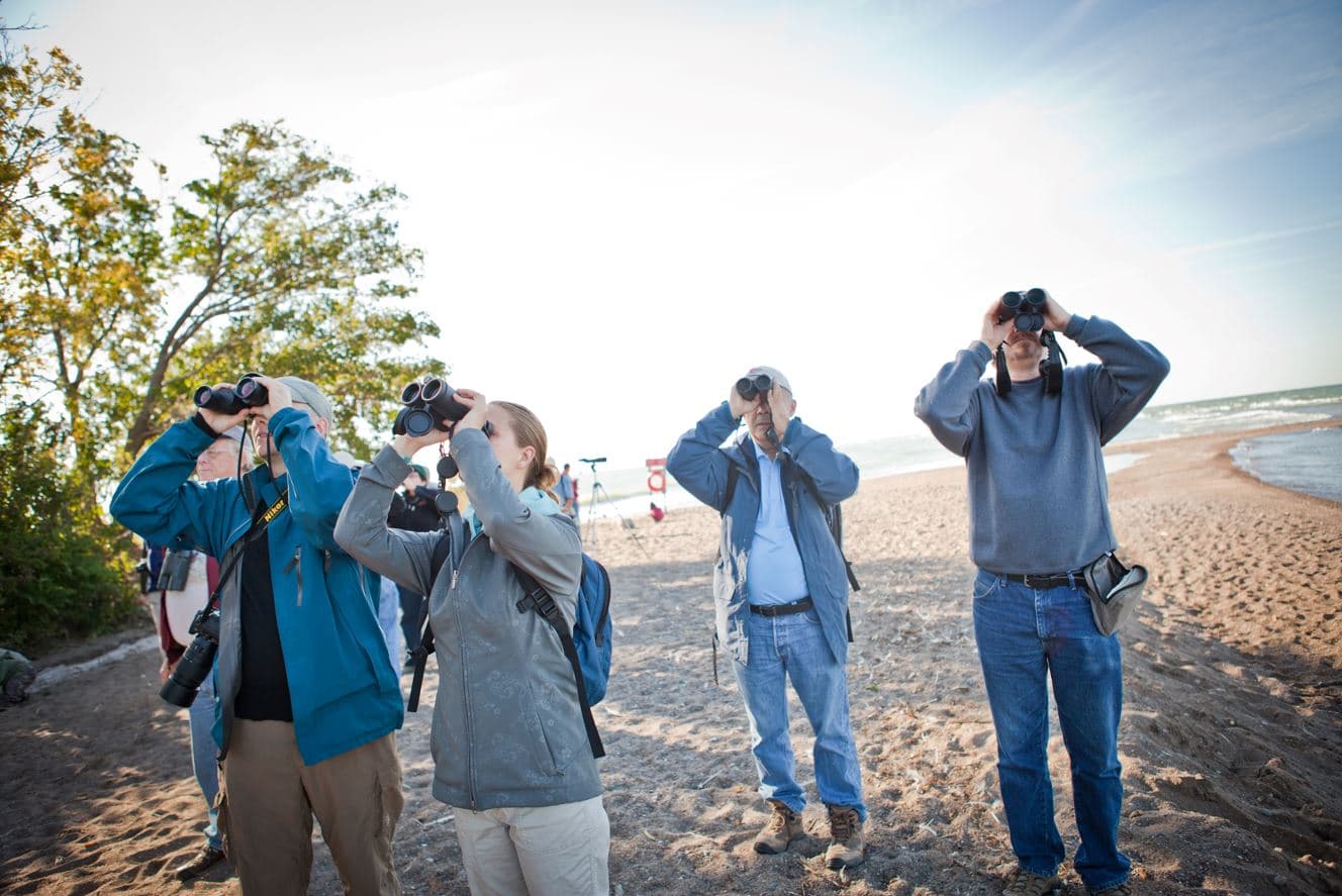 Four people standing on the beach with binoculars raised, looking out over the water