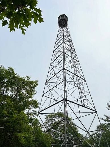 The steel lattice of the old fire tower rising above the treetops