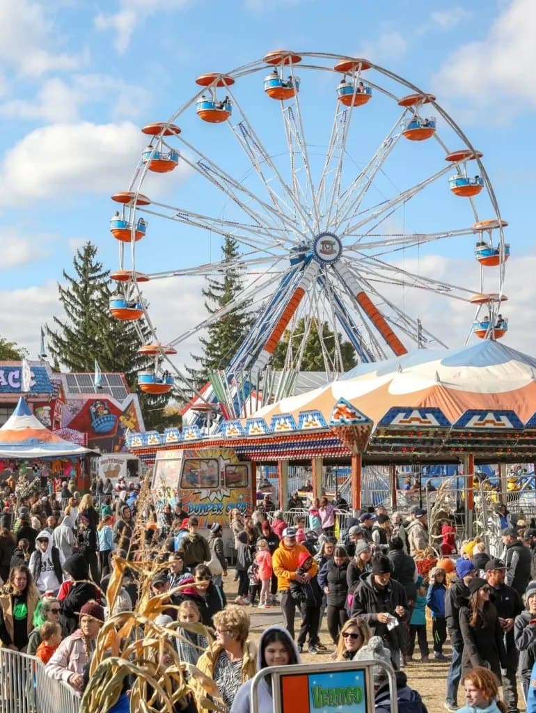 A crowd moving between the bumper cars and the Ferris wheel at Rockton, dried cornstalks in the foreground