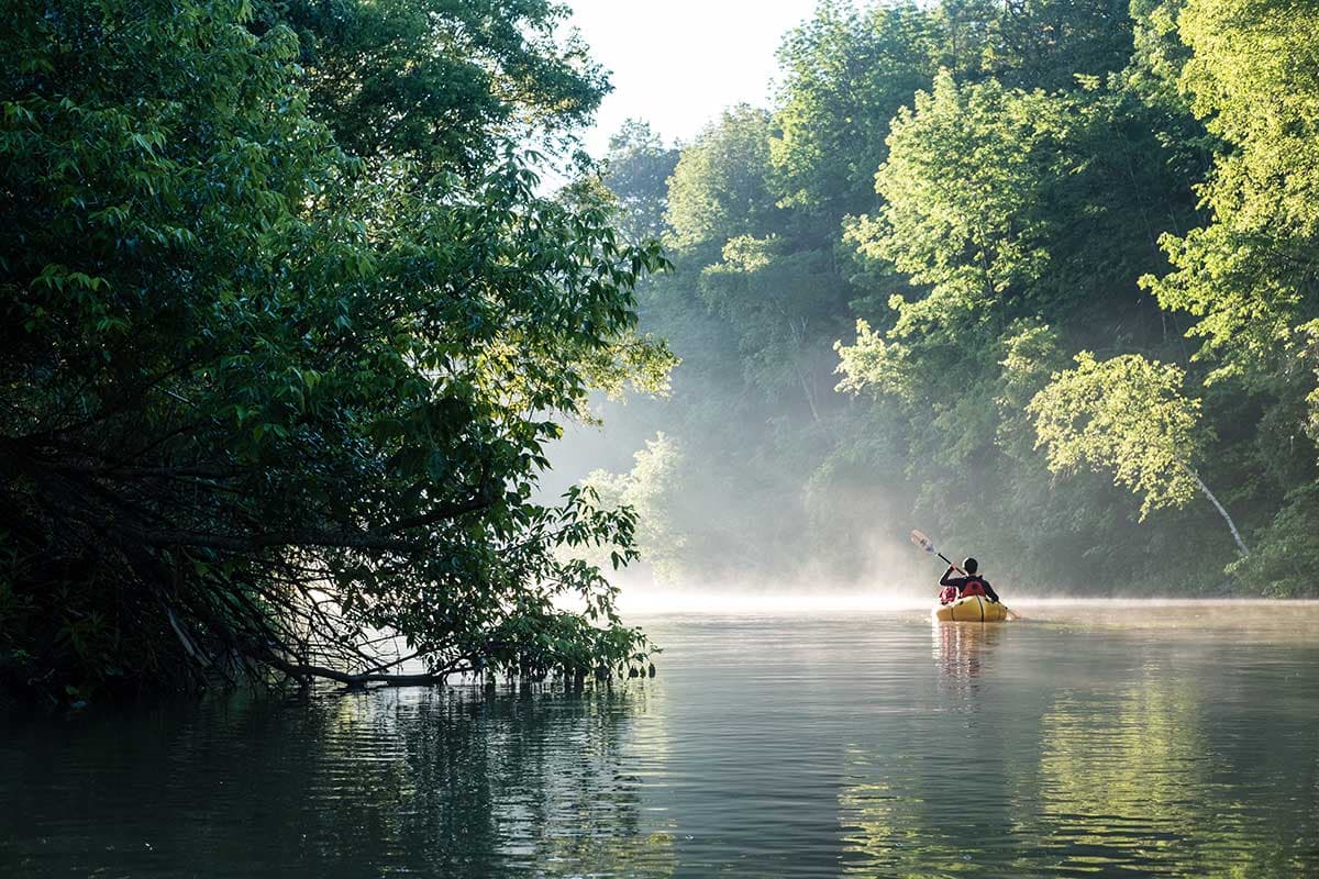 A canoe on the misty Rouge River with forest arching over the water