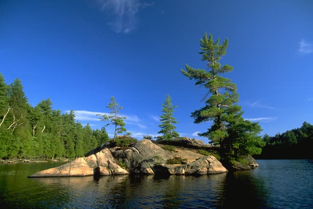 A small rocky island crowned with pines in the middle of deep blue water