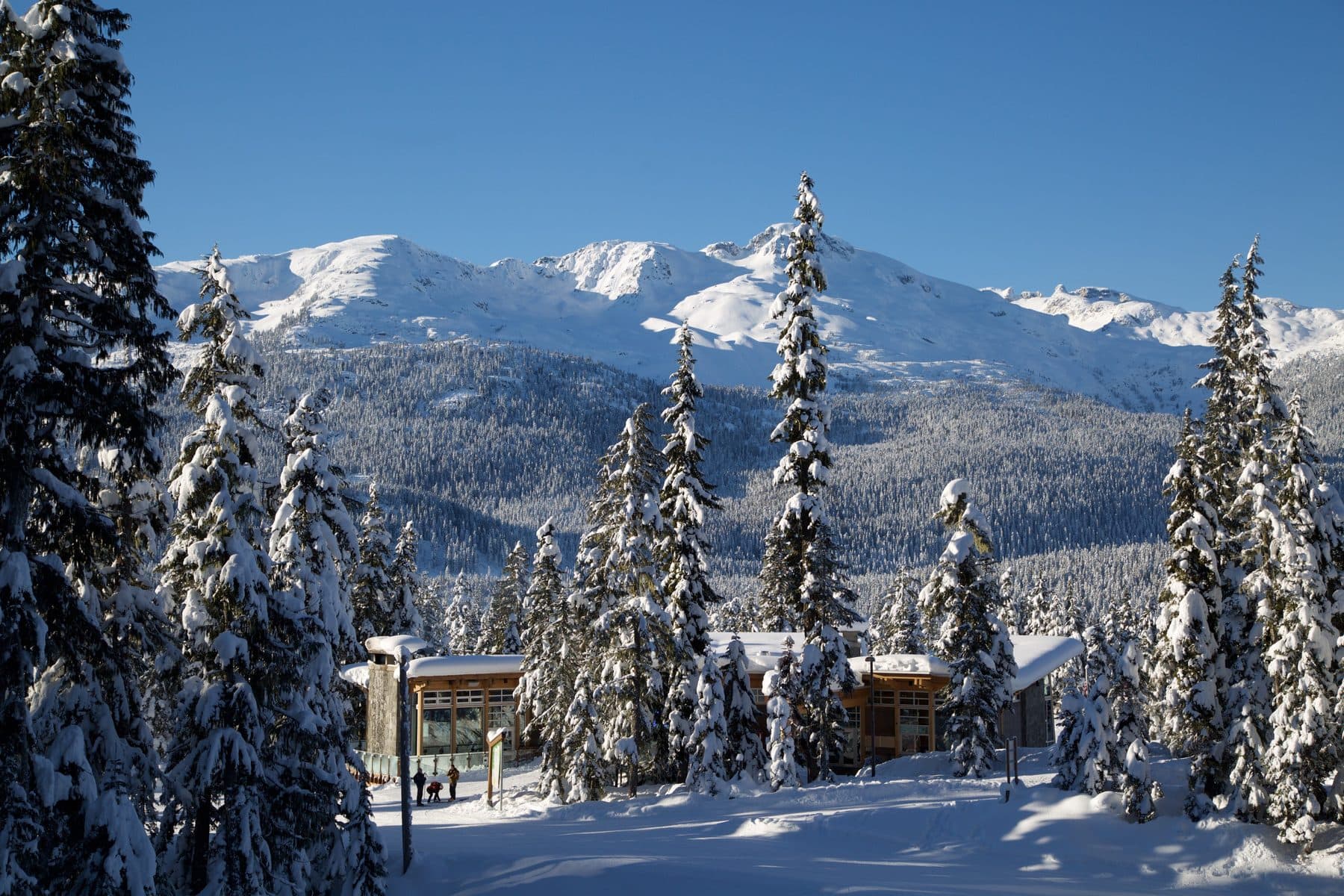 The Day Lodge and snow-loaded trees below the mountains at Whistler Olympic Park