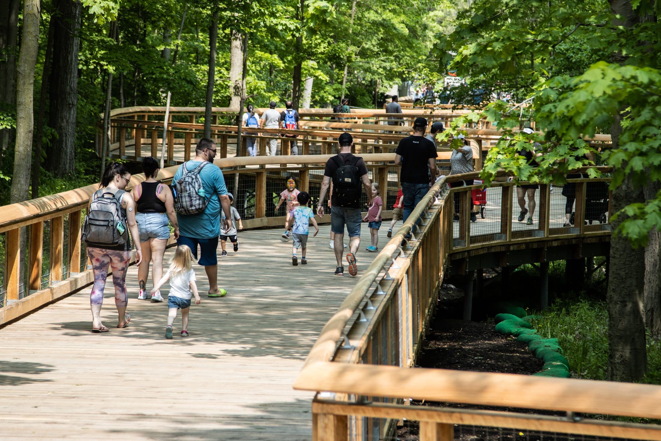 Families walking the boardwalk through the trees at the Toronto Zoo