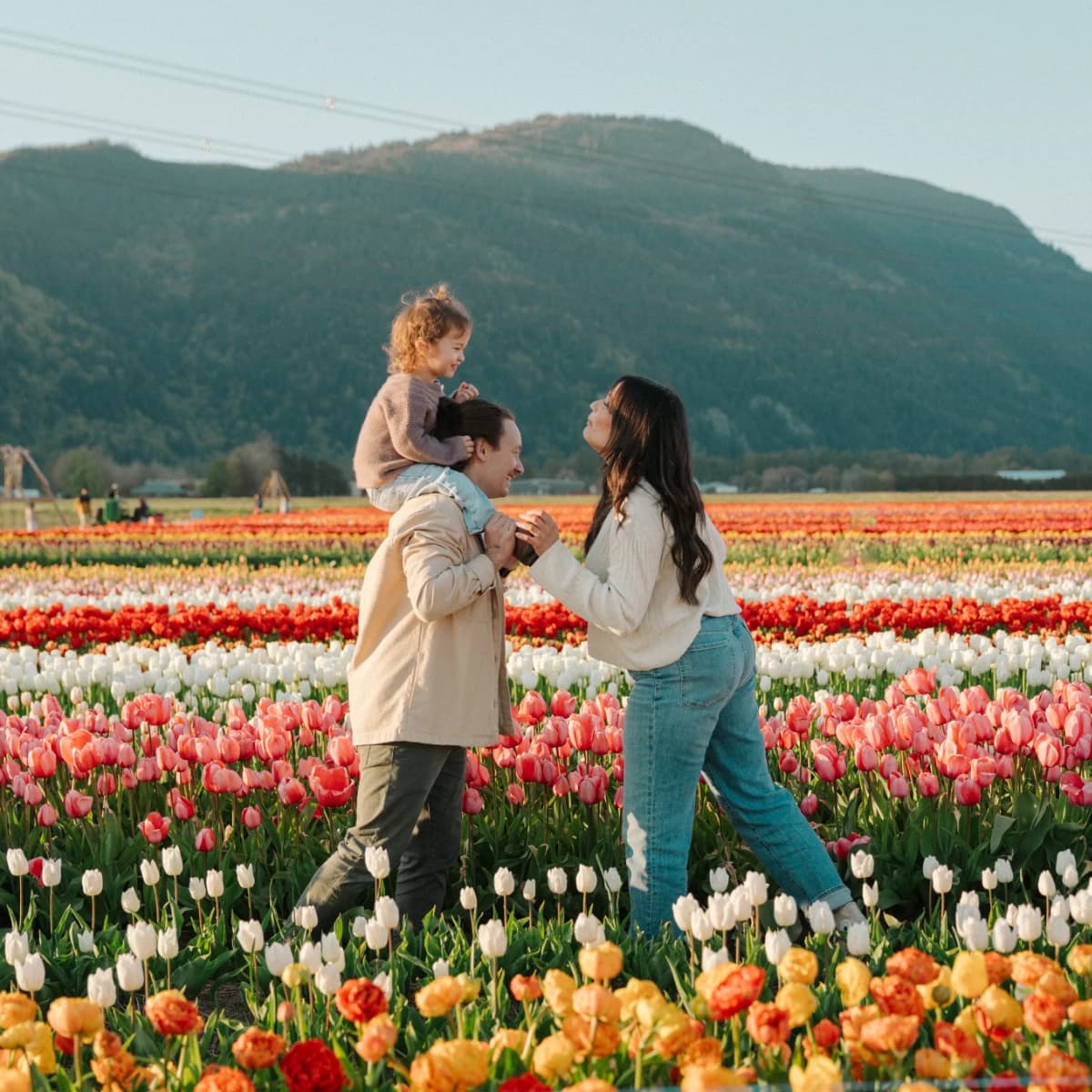 A family standing among rows of orange and pink tulips with a mountain behind them