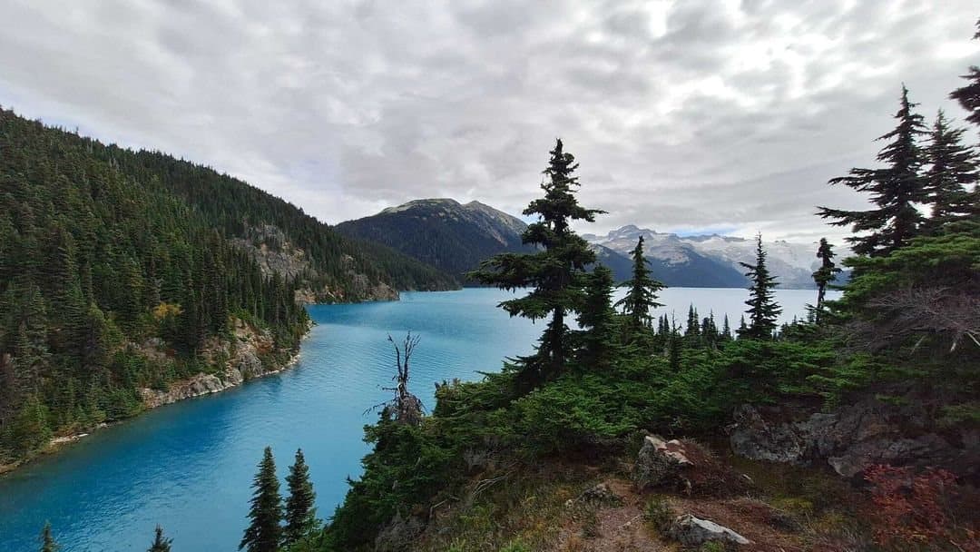 A turquoise lake in a mountain valley, seen through the pines