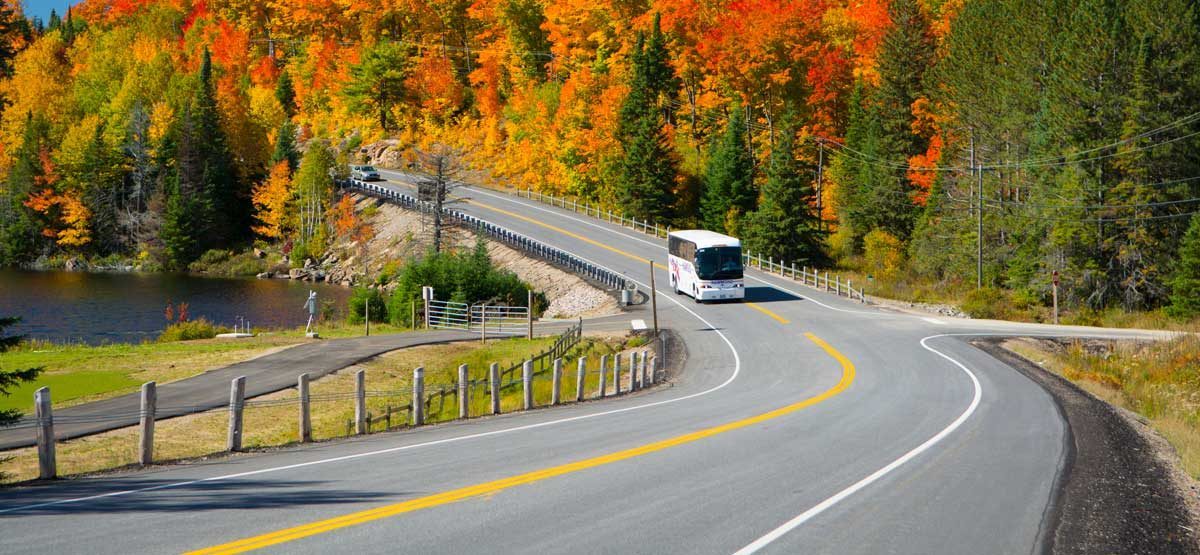 A Parkbus coach on a highway lined with peak fall colour