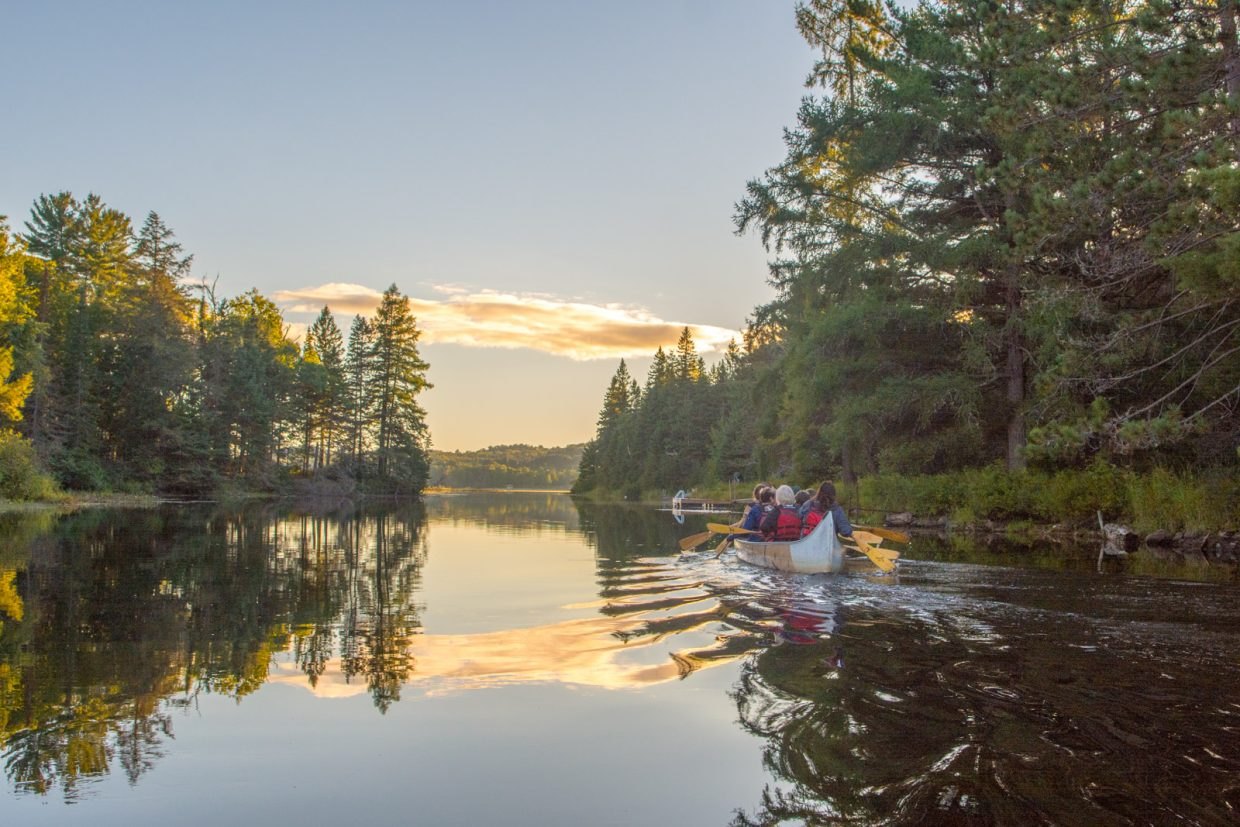 A guided canoe on calm water in Algonquin at golden hour, with the treeline reflected