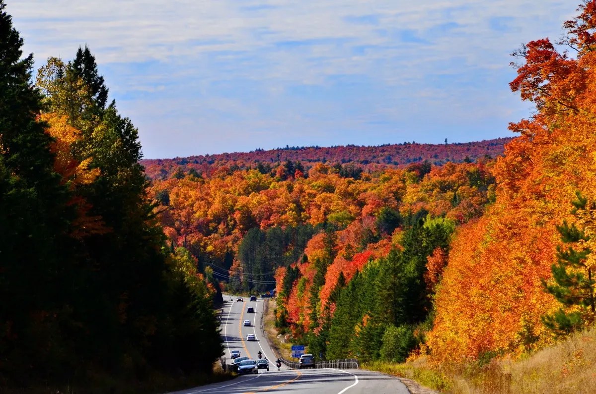 Highway 60 curving through hills of red and orange maple in Algonquin