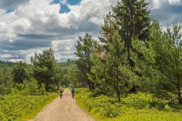 Riders on the Old Rail Trail with the forest on both sides