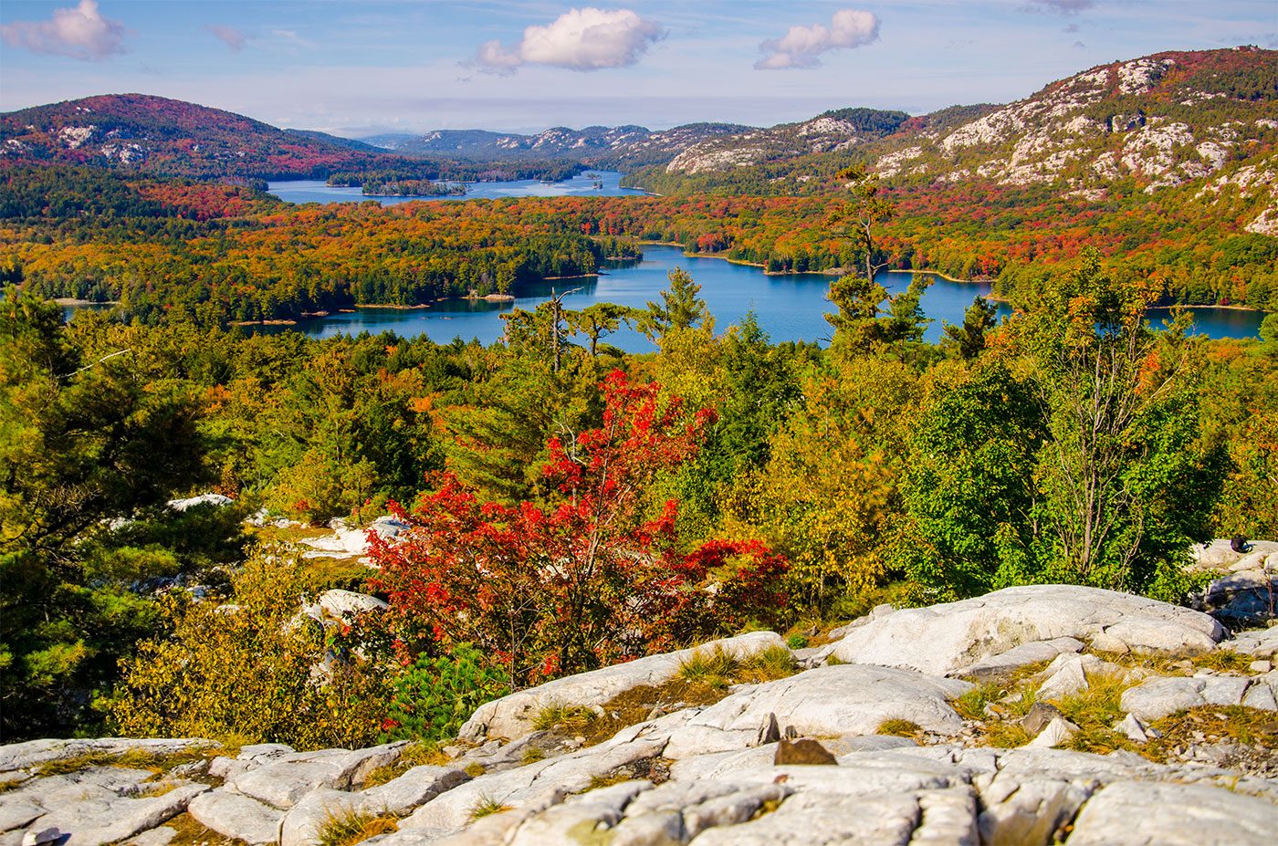 Autumn colour across rocky hills and small lakes, seen from a lookout