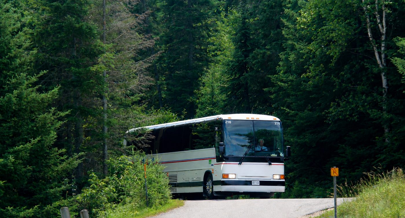 A coach on a forest road, seen through the trees
