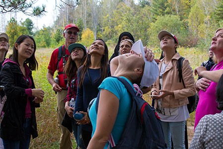 A group standing in a clearing with their heads tipped back, looking up into the tree canopy while a guide points